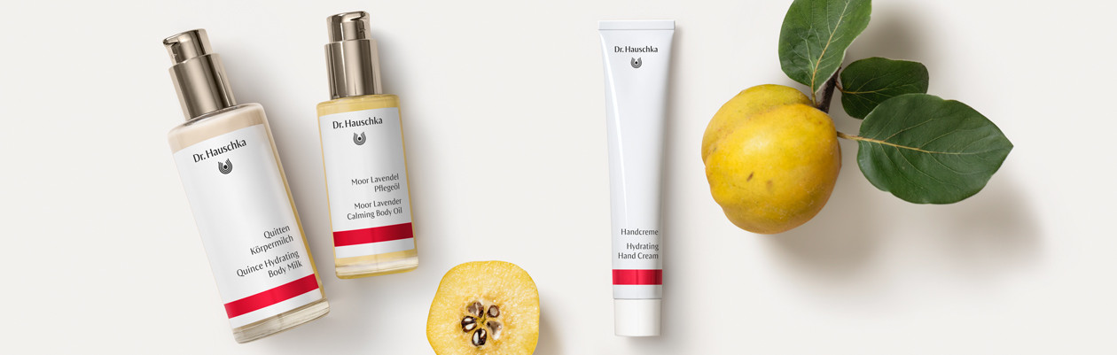 - Zehm Dental Suisse