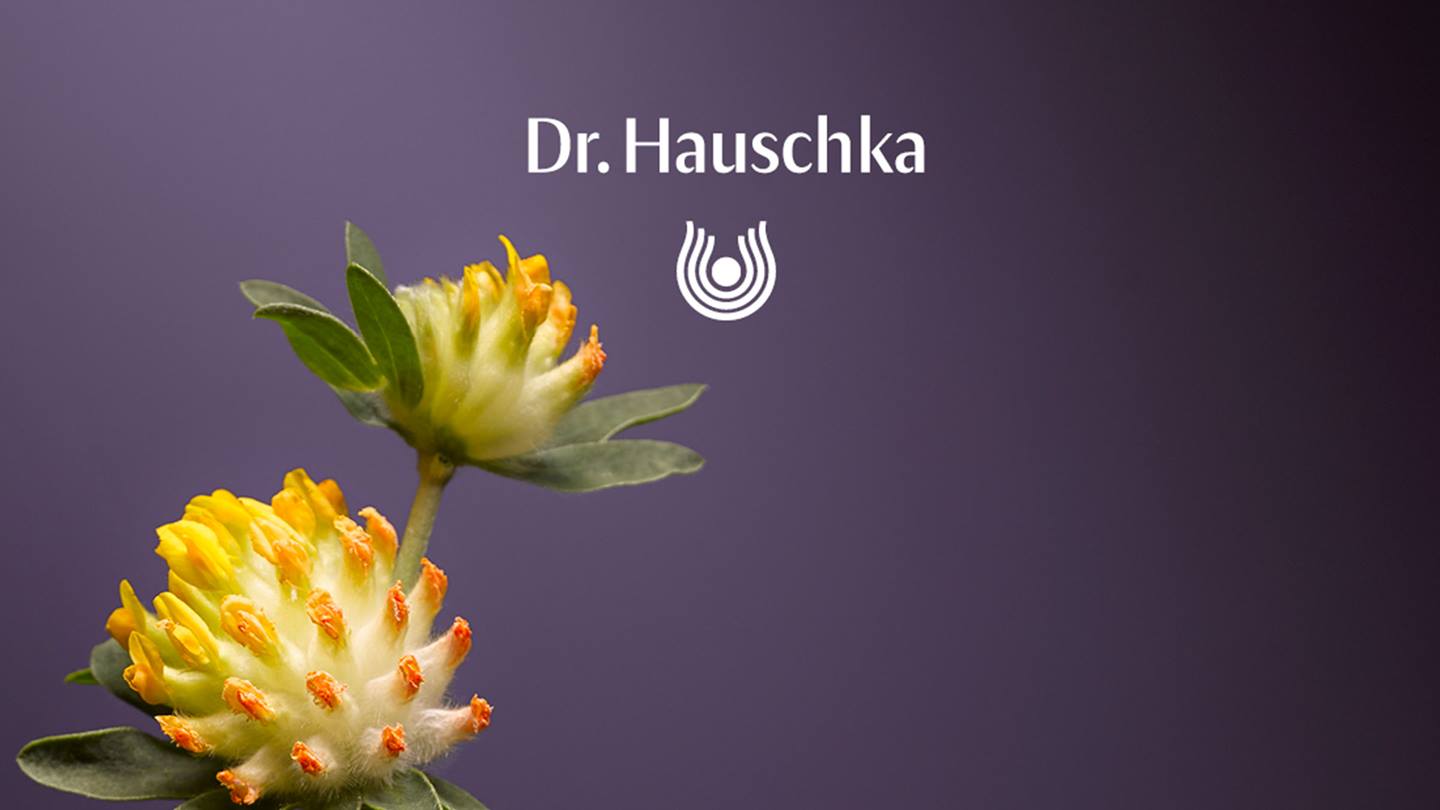 - Zehm Dental Suisse